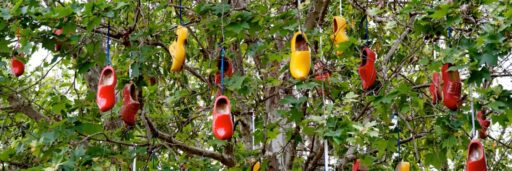 klompenpaden, klompen die in een boom hangen
